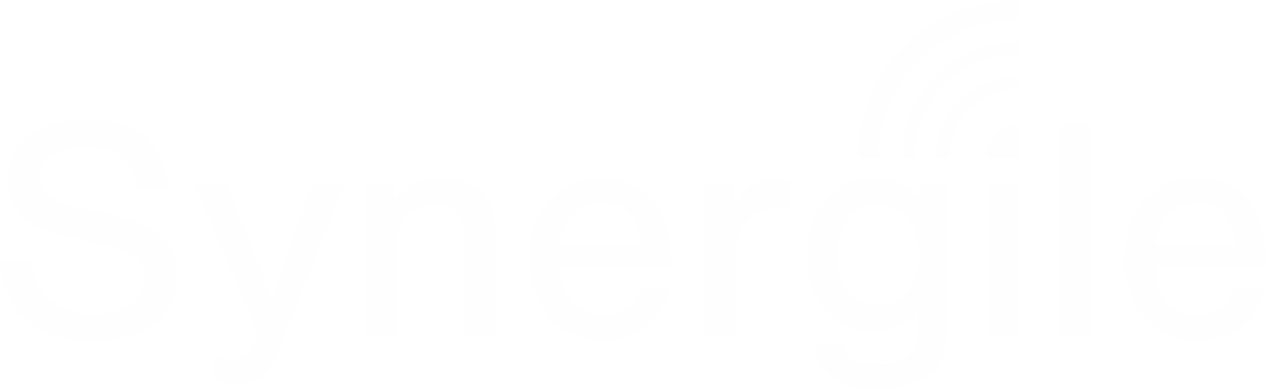 Synergile-logo-white